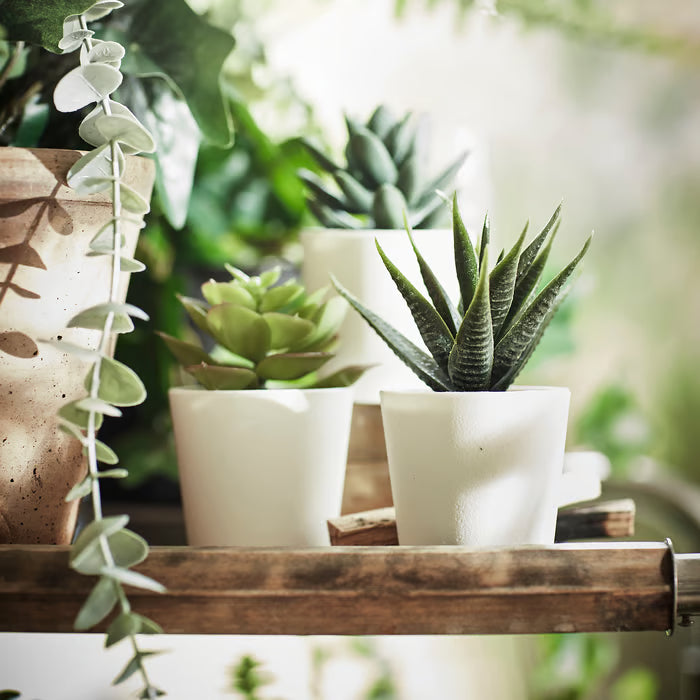 SABAC Artificial Plant with Plastic Pot (Green, 3 Piece)
